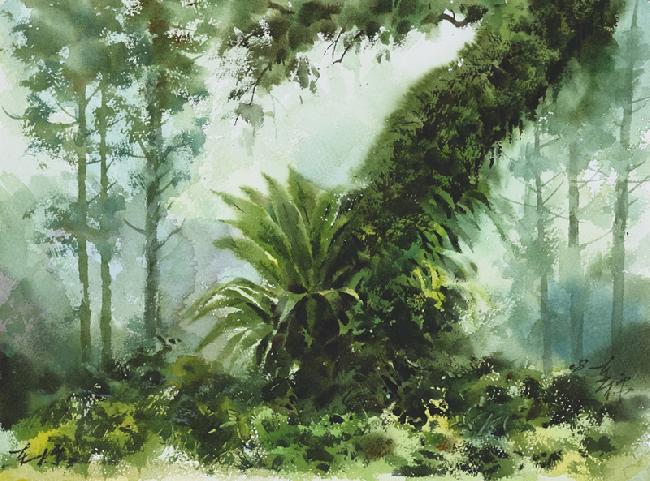 林下植物江某樹身影_洪東標